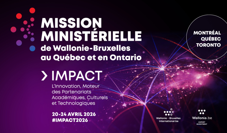 Mission ministérielle